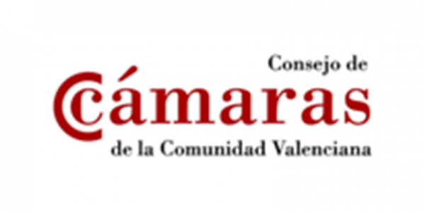 logo consejo camaras web